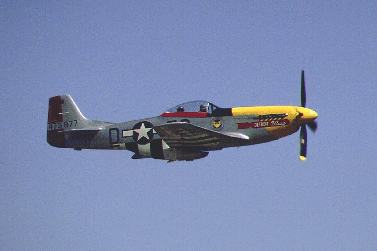 P-51D Mustang N167F "Detroit Miss"