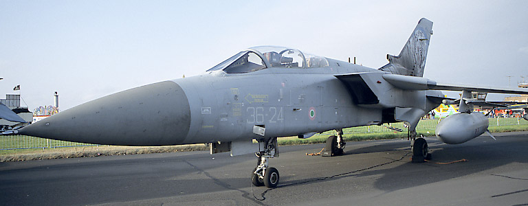 Panavia Tornado F3 36-24